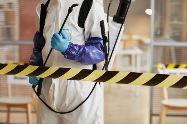 Professional Hoarding Cleanup technician working in Oak Ridge, FL